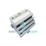 Allen-Bradley 1794-OA16 PLC Digital Output Module image 1