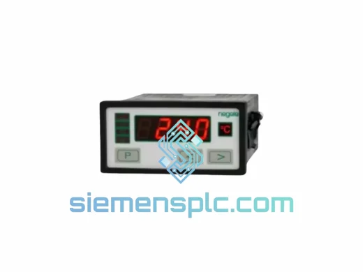 NEGELE DPM-GS-2GW-S Process Display Module – DPM-GS Series