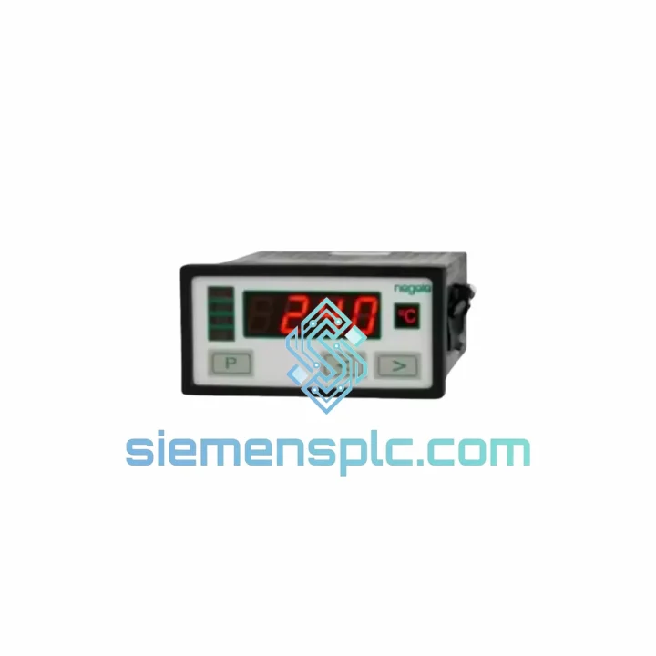 NEGELE DPM-GS-2GW-S Process Display Module – DPM-GS Series