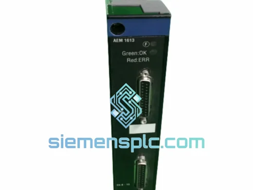 Schneider Electric TSXAEM1613 Analog Input Module