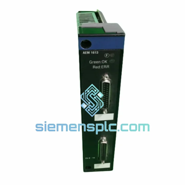 Schneider Electric TSXAEM1613 Analog Input Module